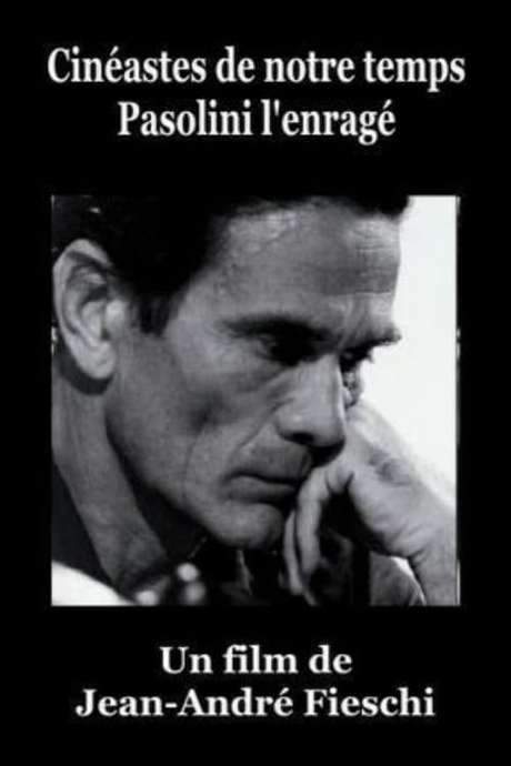 Pasolini l’Enragé